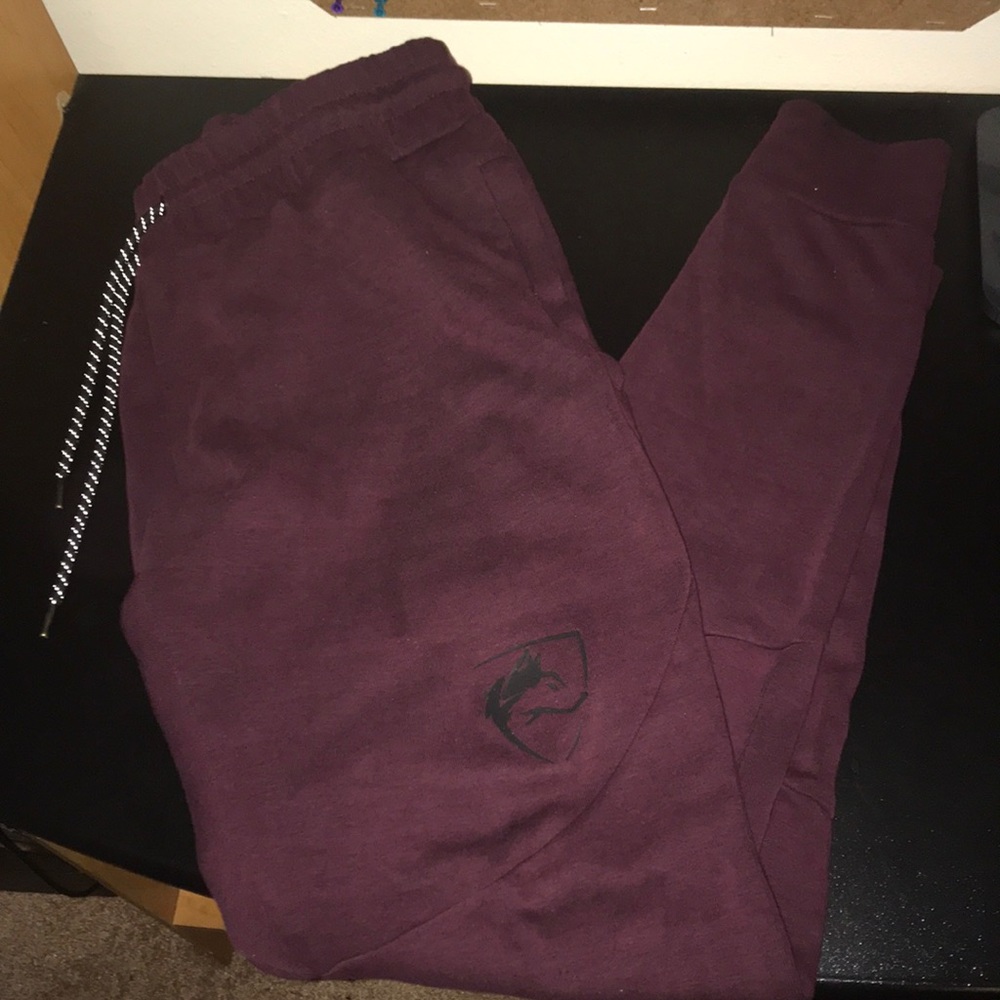Alphalete wine red joggers